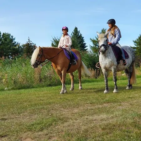 Hotel Kur-& Landhotel Borstel - Treff