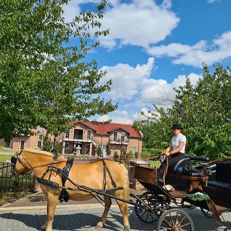 Kur-& Landhotel Borstel - Treff Hotel Dabel