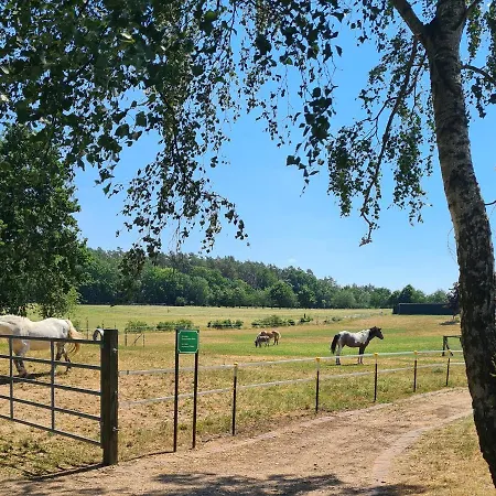 Kur-& Landhotel Borstel - Treff 4* Dabel