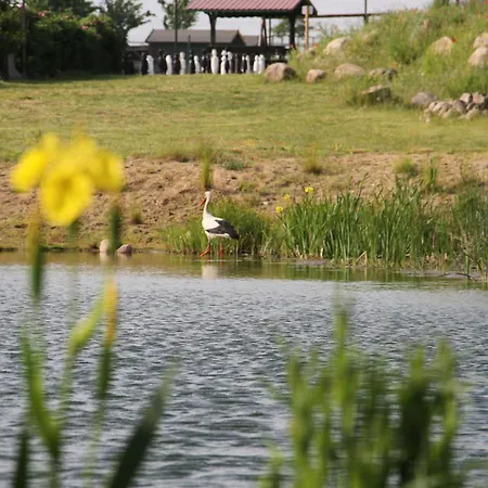 Kur-& Borstel - Treff Hotel 4*