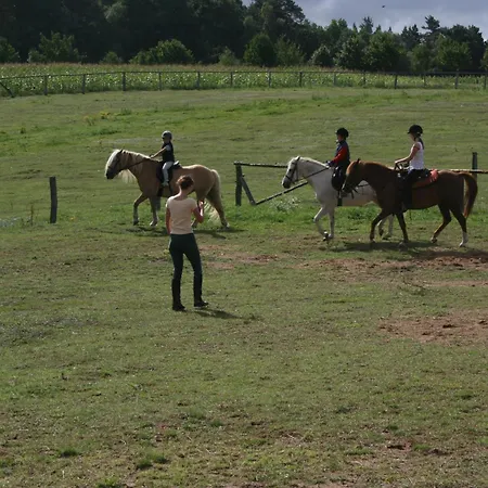 Kur-& Borstel - Treff 4*