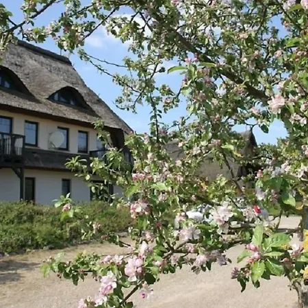 Kur-& Landhotel Borstel - Treff 4* Dabel