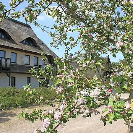 Kur-& Landhotel Borstel - Treff Dabel