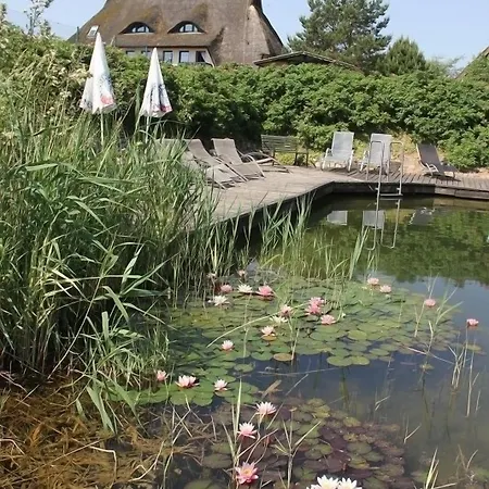 Kur-& Landhotel Borstel - Treff