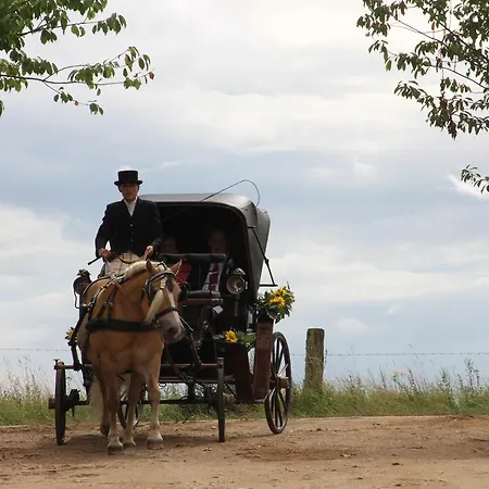 Hotel Kur-& Landhotel Borstel - Treff