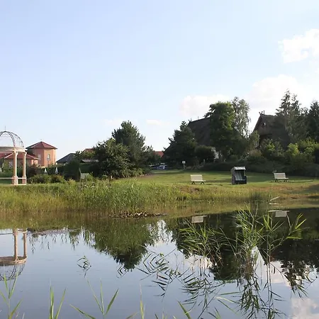 Hotel Kur-& Landhotel Borstel - Treff Dabel