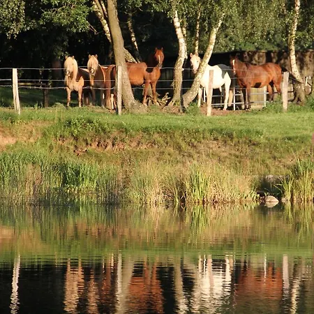 Hotel Kur-& Borstel - Treff Dabel