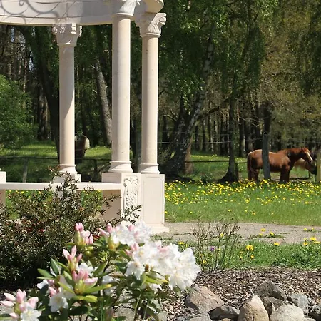 Kur-& Landhotel Borstel - Treff