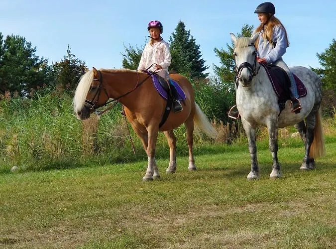 מלון Kur-& Borstel - Treff