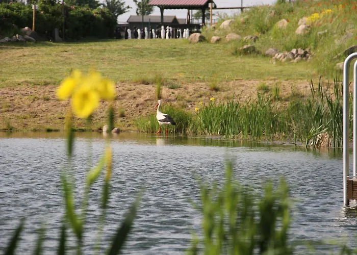 Kur-& Borstel - Treff Hotel 4*