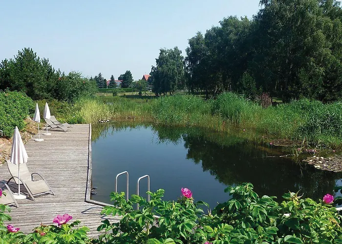 Kur-& Borstel - Treff 4* Dabel