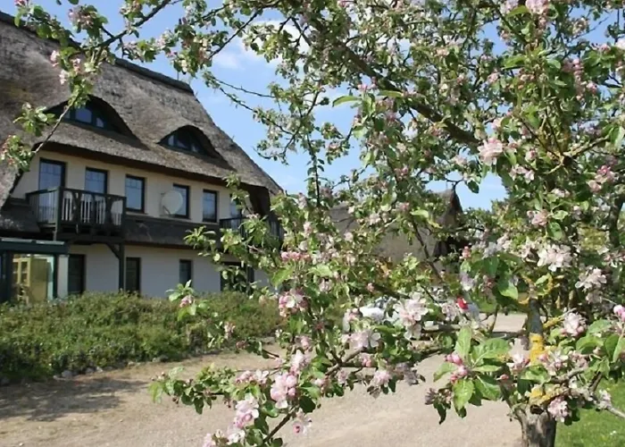 Kur-& Borstel - Treff 4* Dabel