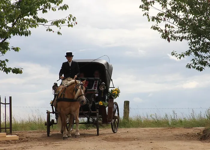 Hotel Kur-& Borstel - Treff