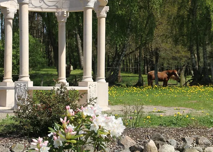 Kur-& Borstel - Treff